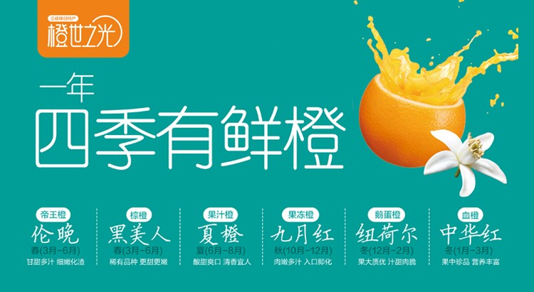 正宗秭归伦晚甜橙子 现摘当季新鲜水果 精品大果15-18颗礼盒装带箱10斤净8.8斤(pic1)