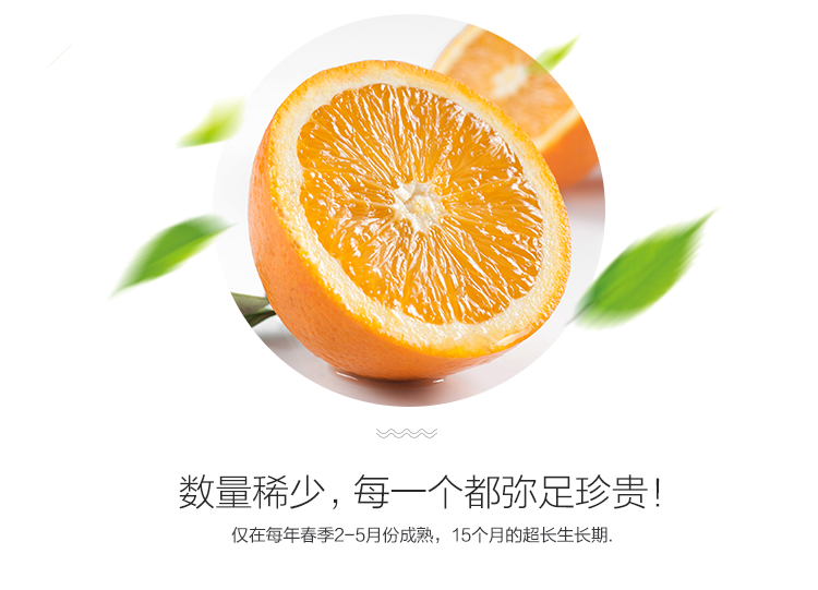 正宗秭归伦晚甜橙子 现摘当季新鲜水果 精品大果15-18颗礼盒装带箱10斤净8.8斤(pic4)