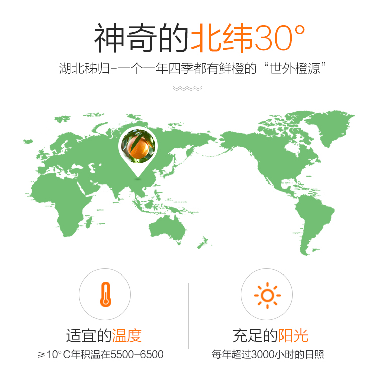 正宗秭归伦晚甜橙子 现摘当季新鲜水果 精品大果15-18颗礼盒装带箱10斤净8.8斤(pic6)