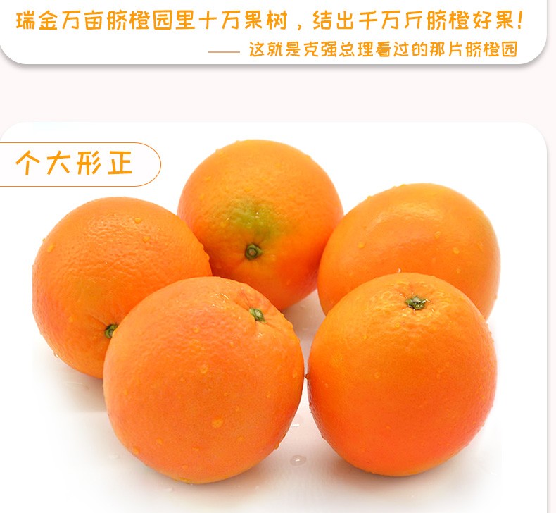 赣南夏橙脐橙新鲜水果年货送礼现摘水果礼盒带箱10斤单果果径80-89mm(pic3)