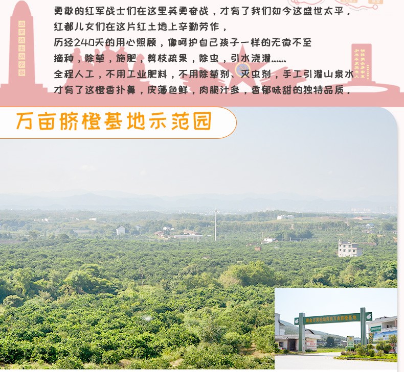 赣南夏橙脐橙新鲜水果年货送礼现摘水果礼盒带箱10斤单果果径80-89mm(pic2)