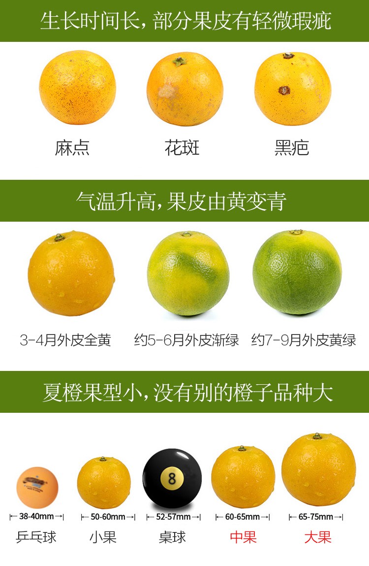 秭归脐橙果汁橙榨汁橙酸甜橙子 现摘当季新鲜水果 中大果混装 带箱10斤净9斤(pic8)