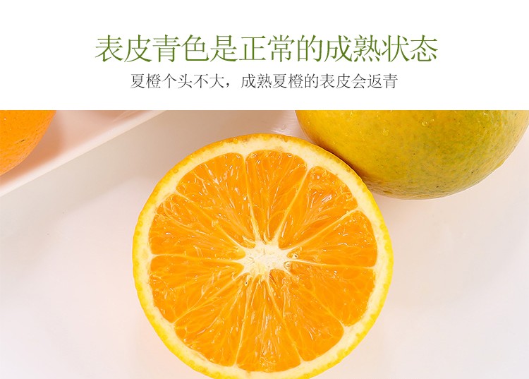 秭归脐橙果汁橙榨汁橙酸甜橙子 现摘当季新鲜水果 中大果混装 带箱10斤净9斤(pic7)